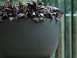 Кашпо SUNNY Refined Pottery Pots Нидерланды, материал файберстоун, доп. фото 5